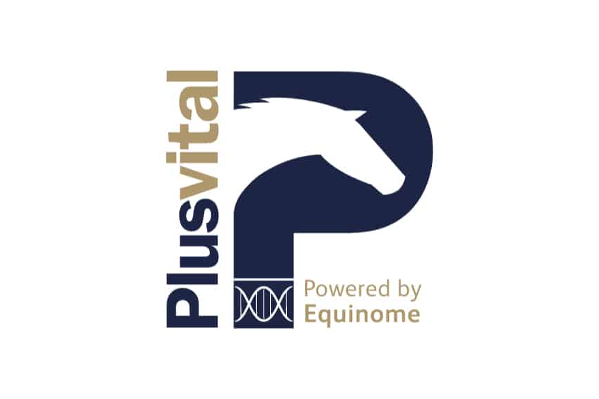 پلاس ویتال (PLUSVITAL)