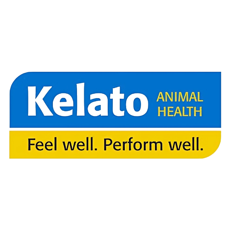 کلاتو (KELATO)