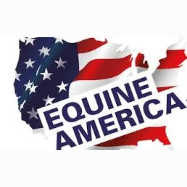 اکوئین آمریکا (EQUINE AMERICA)