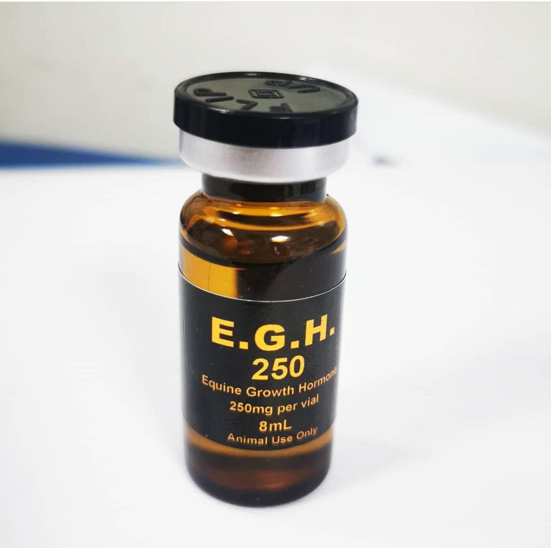 ای جی اچ (E.G.H)
