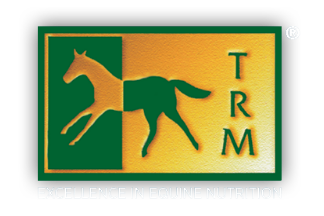 تی آر ام (TRM)